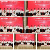 利用中國建材的綠色發展模式，保定整合全市礦山資源進行規?；洜I