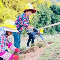 福建永定:投入1.53億元修復(fù)洪山廢棄礦山生態(tài)