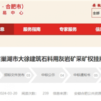 年產(chǎn)砂石980萬噸!安徽儲(chǔ)量超億噸大礦5億起拍