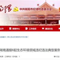 超時、超量、越界采砂!湖南通報6起生態(tài)環(huán)境領(lǐng)域違紀(jì)違法典型案例 2起與砂石有關(guān)!
